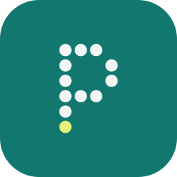 Icon 256px